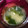 小麦粉【100g】's cooksnap of when they made 超簡単☆えのきともやしの味噌汁☆39㌍.