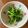 かのこはLOVE's cooksnap of when they made ＊菜の花のからし和え＊.
