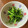 かのこはLOVE's cooksnap of when they made ＊菜の花のからし和え＊.