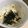 およそ's cooksnap of when they made 昆布茶とはちみつ梅干の山芋サラダ.