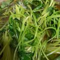 TSUKURUBE's cooksnap of when they made ＊三つ葉の煮びたし＊.