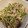 だい☆あお☆まり's cooksnap of when they made 簡単！アジと豆苗の香味炒め.