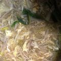 Ｏｓｓａｎ's cooksnap of when they made 簡単 早い！ たけのこ 卵の 中華スープ.