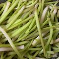 momonaomam's cooksnap of when they made つわぶき 灰汁抜き処理・ツルツル皮むき.