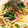hitomi♪＊'s cooksnap of when they made 和風きのことほうれん草とベーコンのパスタ.