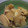 主夫トモコ's cooksnap of when they made 簡単！たけのこの土佐煮.