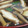 あゆたっくん's cooksnap of when they made きのこたっぷり汁！.