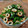 さくらスキップ's cooksnap of when they made ごま油香るちくわとピーマンのきんぴら.
