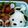 シまぁエナガ☆'s cooksnap of when they made キャラ弁☆しっぽフリフリわんちゃん☆.