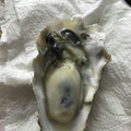 らーてぃん's cooksnap of when they made 男のロマン！海のミルク殻付き牡蠣の剥き方.