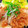 mmmugi's cooksnap of when they made ポークソテー　ガーリックと玉ねぎソース.