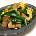 赤ぎん's cooksnap of when they made 葉玉ねぎの豚玉炒め.
