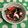 クックOWPJU3☆'s cooksnap of when they made たことトマトとわかめのさっぱりサラダ.