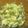 ぽんぷー's cooksnap of when they made ✿空豆と玉子のサラダ✿.