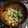 ☆hikonyan☆'s cooksnap of when they made かけ蕎麦のつゆ.