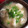 わたるんママ's cooksnap of when they made 簡単ネギと油揚げと豆腐のお味噌汁.