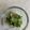クックB322BK☆'s cooksnap of when they made きゅうりの甘酒ポン酢和え.