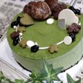 ogkzz's cooksnap of when they made 抹茶と小豆のムースケーキ.