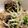 クックコロ号☆'s cooksnap of when they made さっぱり煮物　もやしとにらの牛こま煮.