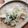 ごはん好きパンも好き's cooksnap of when they made 幼児食1歳 じゃこ煎餅.