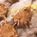 はるもあや's cooksnap of when they made 本格的！しゅうまい。(o^^o)♪.