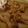 あきつま（杏花☆）'s cooksnap of when they made なめこと大根炒め.