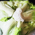 ゆいmaru3's cooksnap of when they made レタスの芯の抜き方＆鮮度を保つ保存法.