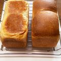 クックお恵's cooksnap of when they made ホシノ天然酵母で焼く食パン.