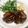 クックH07LXJ☆'s cooksnap of when they made チーズin煮込みハンバーグ.