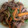 askun05's cooksnap of when they made 簡単★焼肉のたれで牛肉の野菜炒め.