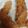 かおるっこら's cooksnap of when they made 図解◉元洋食シェフの父に習ったエビフライ.