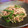 クック15FFG6☆'s cooksnap of when they made 簡単◎挽肉ともやしのあんかけ炒め.