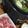 ﾌﾞﾚﾝﾀﾞ's cooksnap of when they made 簡単！ほうれん草の豚しゃぶ鍋.