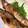 マミねちょ's cooksnap of when they made 愛知の魚100　鮎の塩焼き.