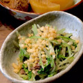 ばたみそーぱん☆'s cooksnap of when they made 簡単5分＊天かすと水菜とツナのおひたし.
