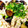 ☆☆☆MINT☆☆☆'s cooksnap of when they made つるつる！豚しゃぶ肉とナスのさっぱり和え.