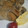 yumeクック's cooksnap of when they made 白だしで簡単✩だし巻き卵.