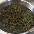 ぐりんぶー♪'s cooksnap of when they made ワラビのアク抜き & 保存の仕方.