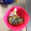 彩音ｍａｍａ's cooksnap of when they made 材料は２つだけ！きゅうりの塩昆布浅漬け.