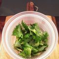クック5E2Q86☆'s cooksnap of when they made ☆☆大葉のずぼら長期保存☆☆.