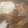 トラビスくんママ♡'s cooksnap of when they made ホタテ稚貝の酒蒸しとバター蒸し.