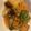 ♡まゆみゆ♡'s cooksnap of when they made 《秋の味覚!!!》厚揚げときのこ餡掛け.