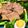 クッククッキリ's cooksnap of when they made 豚の角煮.
