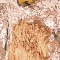 えそそそ's cooksnap of when they made えのきのホイル焼き.