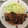 えそそそ's cooksnap of when they made 玉ねぎと豚のしょうが焼き.