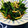 どむぞうくん's cooksnap of when they made ほうれん草としめじのナムル.