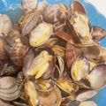 マミねちょ's cooksnap of when they made アサリの酒蒸し ふっくら.