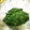 0901mina's cooksnap of when they made よもぎの保存.
