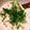 食いしん坊あー's cooksnap of when they made 『豆腐でトロトロ納豆？？！』.