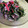 クック3J1UZ9☆'s cooksnap of when they made おかひじきとカニカマの辛子マヨ和え.